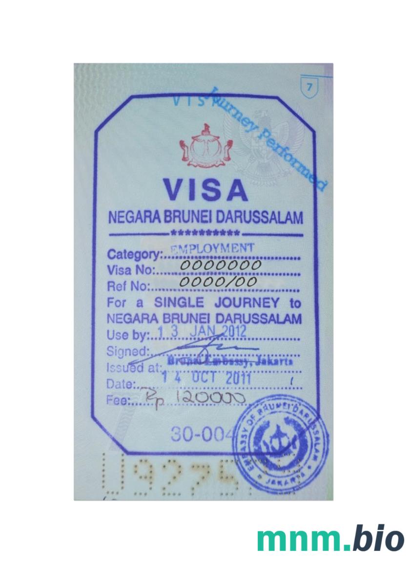 Brunei stamp visa w pełni edytowalny PSD